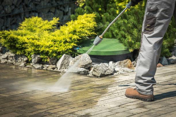 Best Residential Pressure Washing in Greenwood, DE