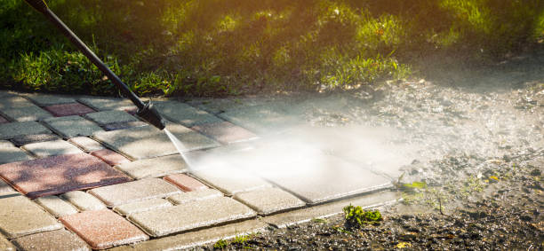 Best Window and Screen Pressure Cleaning in Greenwood, DE